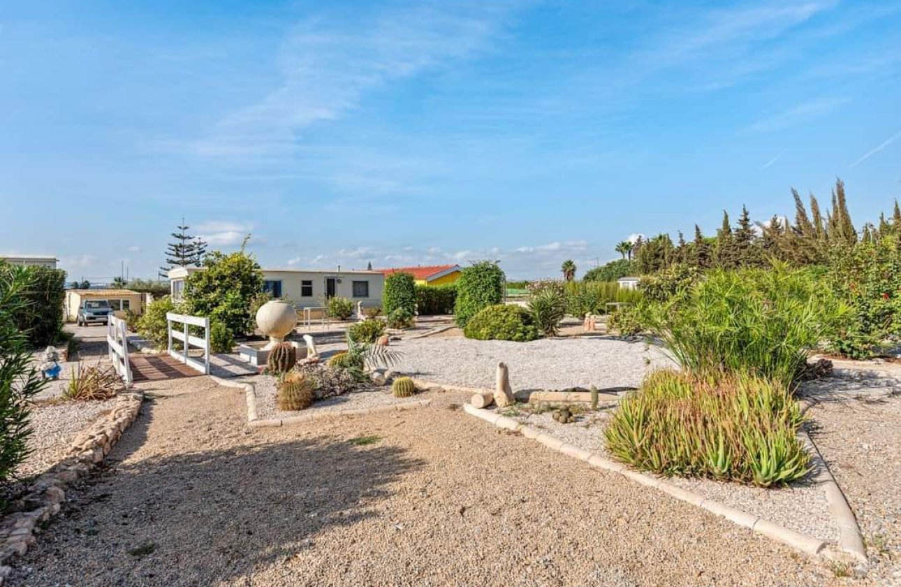 Resale - Finca -
Los Montesinos - Costa Blanca