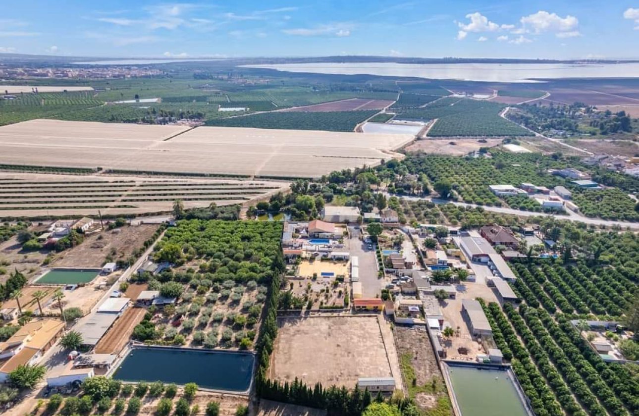 Resale - Finca -
Los Montesinos - Costa Blanca