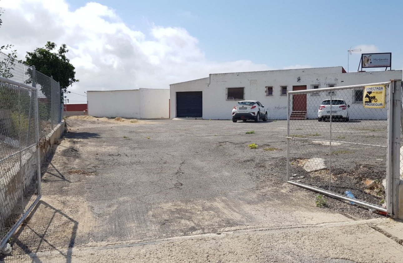 Resale - Finca -
Los Montesinos