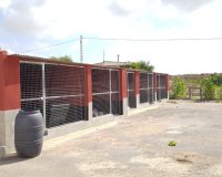 Resale - Finca -
Los Montesinos