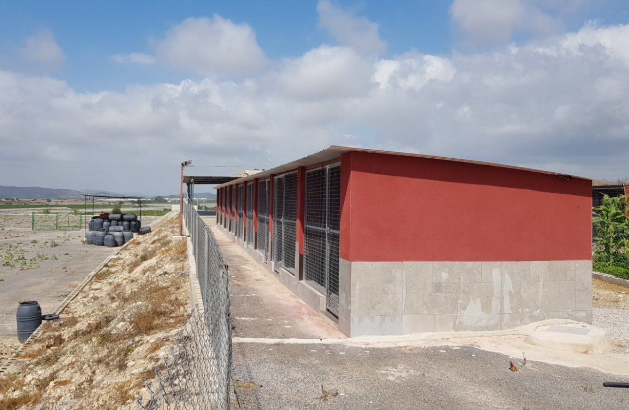 Resale - Finca -
Los Montesinos