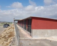 Resale - Finca -
Los Montesinos