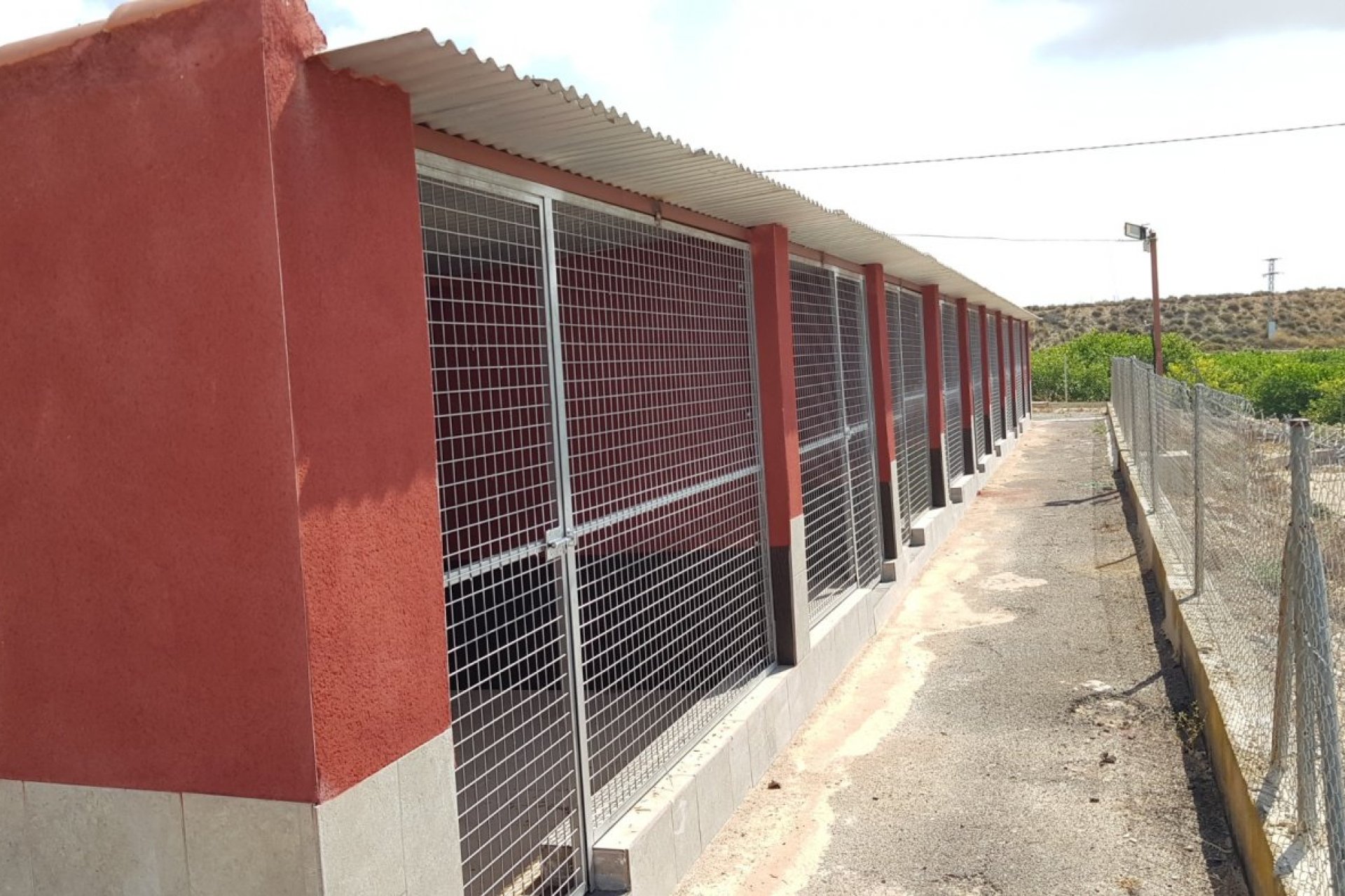 Resale - Finca -
Los Montesinos