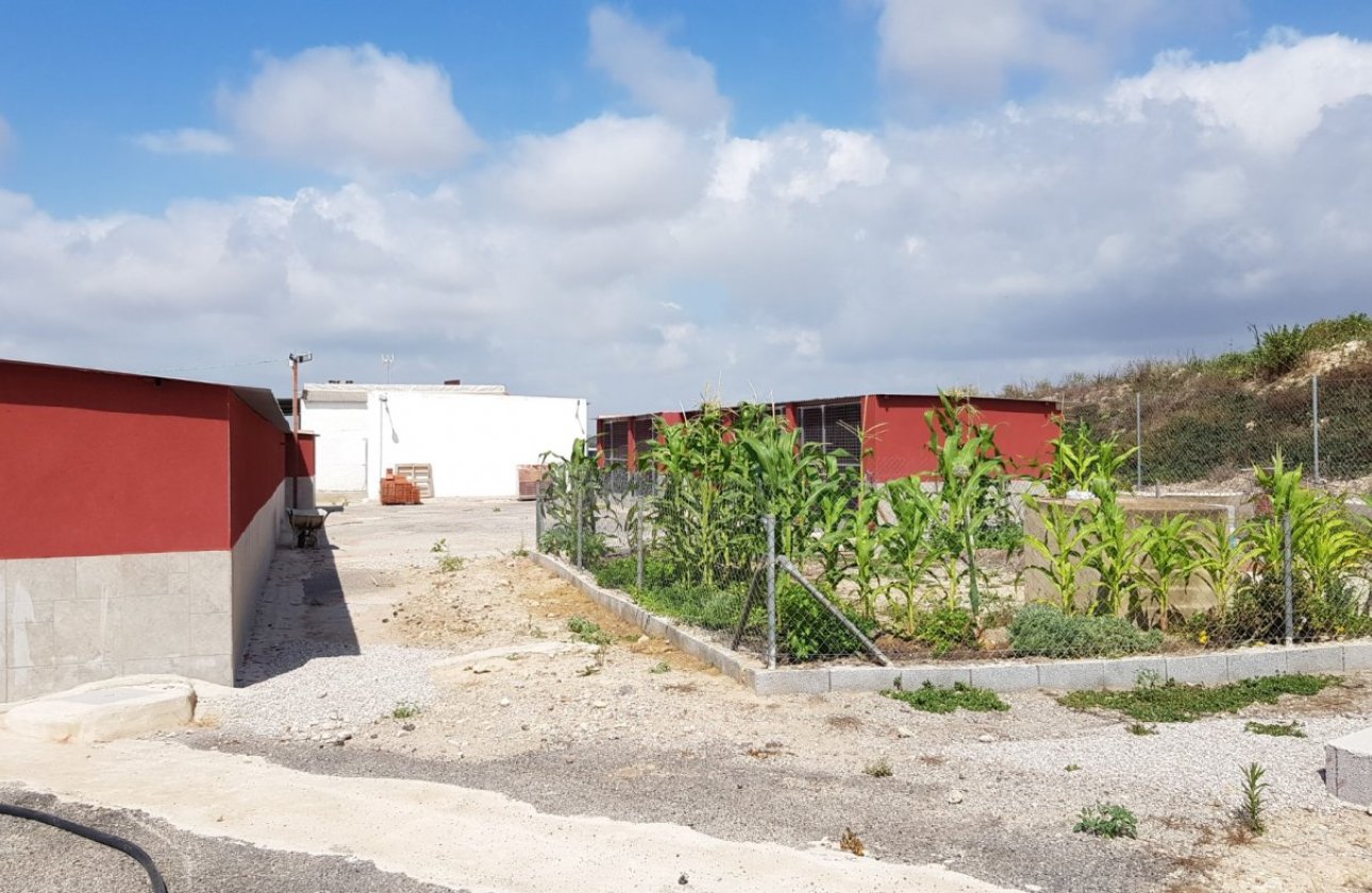 Resale - Finca -
Los Montesinos