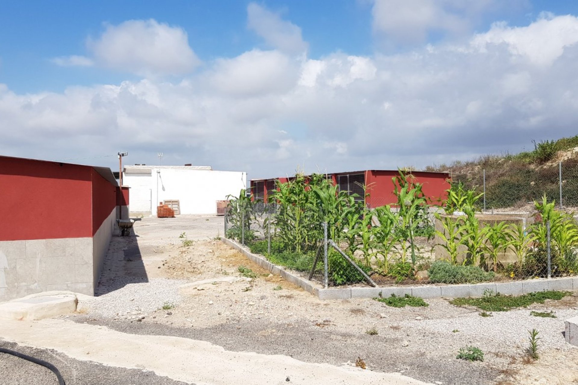 Resale - Finca -
Los Montesinos