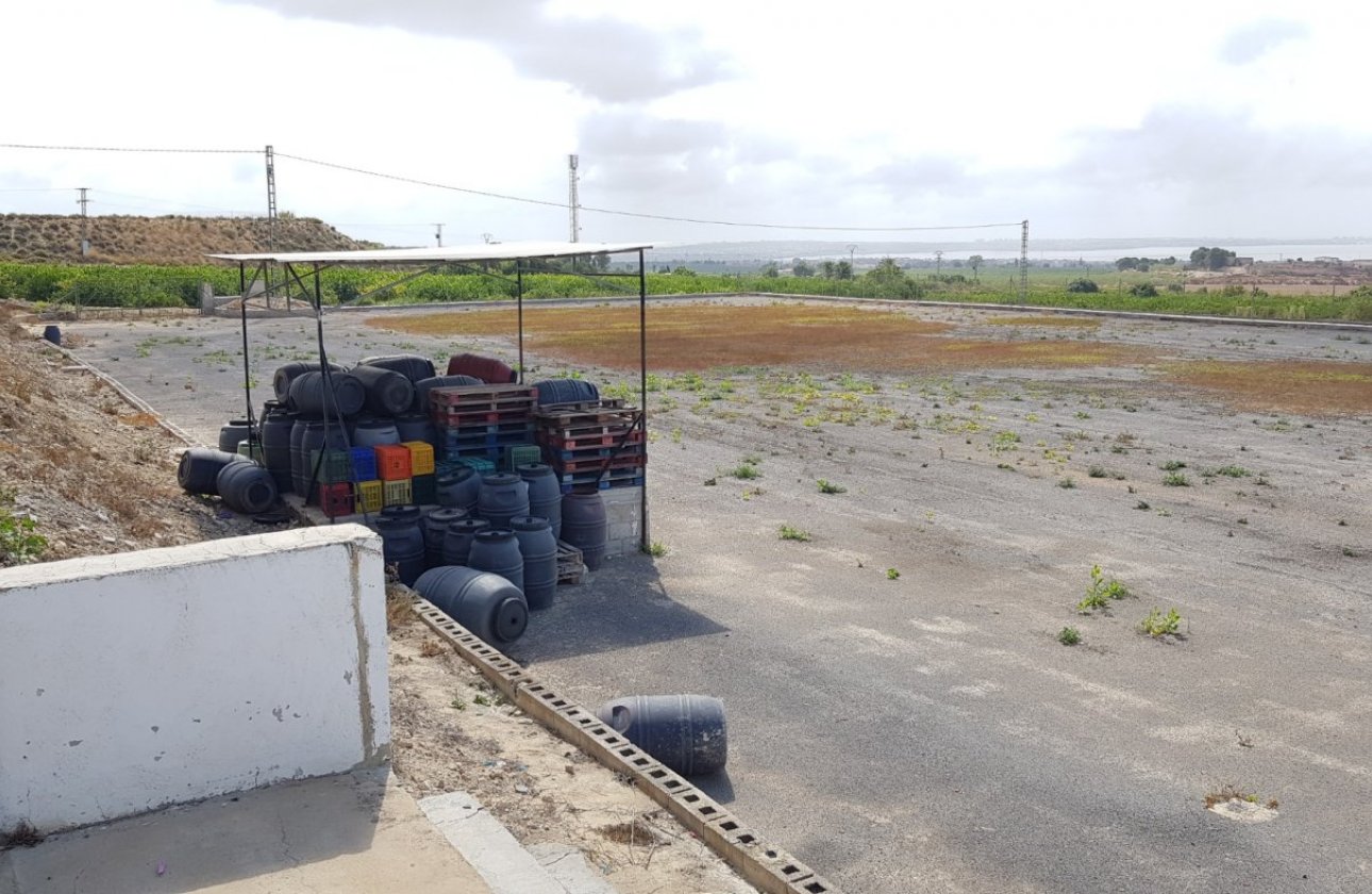 Resale - Finca -
Los Montesinos