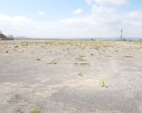 Resale - Finca -
Los Montesinos