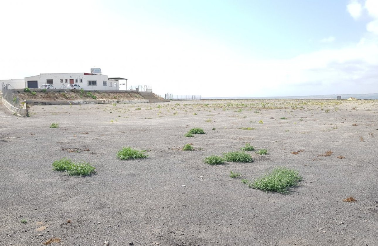 Resale - Finca -
Los Montesinos