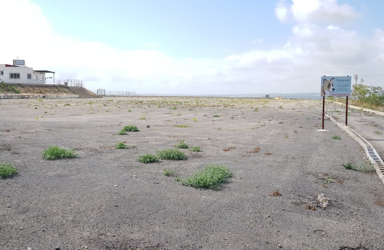 Resale - Finca -
Los Montesinos