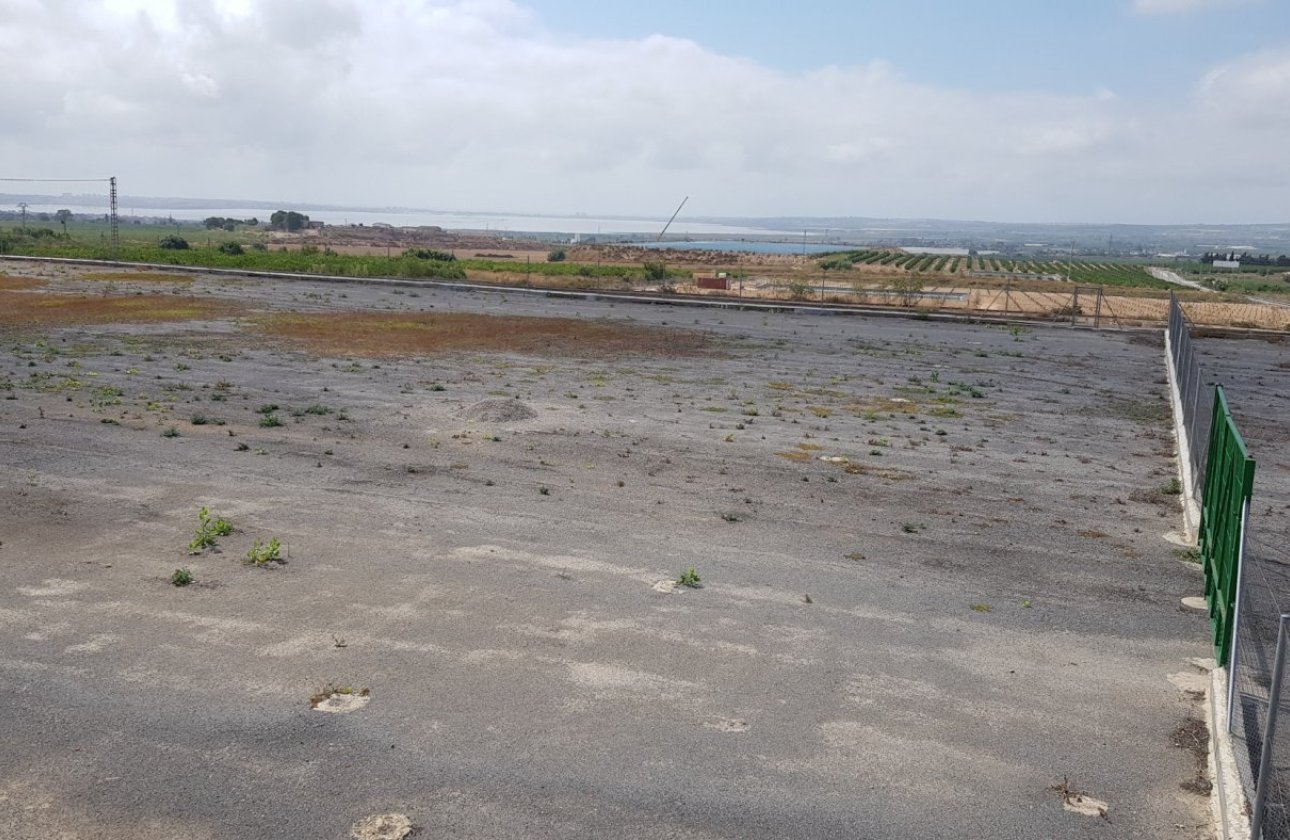 Resale - Finca -
Los Montesinos