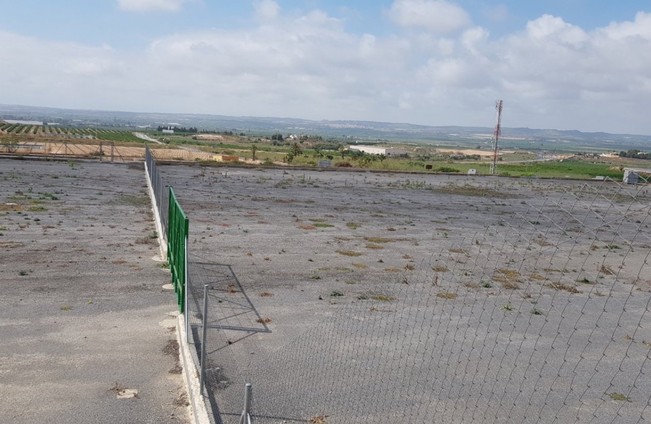 Resale - Finca -
Los Montesinos