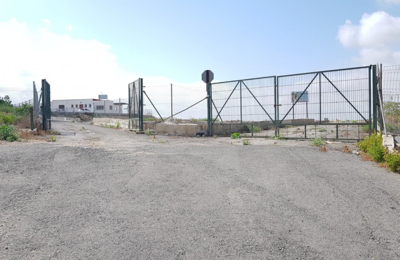 Resale - Finca -
Los Montesinos