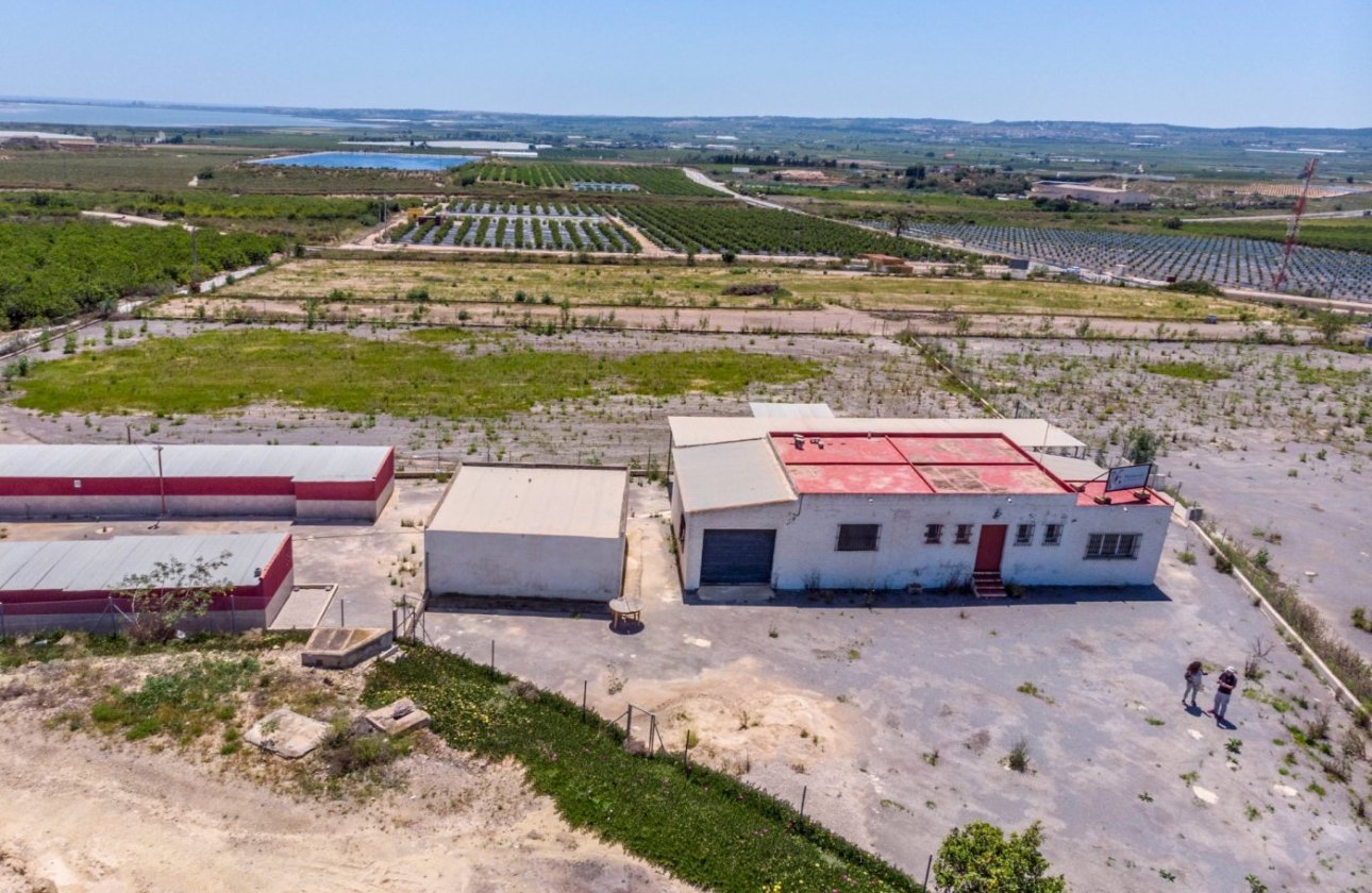 Resale - Finca -
Los Montesinos