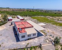 Resale - Finca -
Los Montesinos