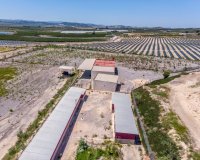 Resale - Finca -
Los Montesinos