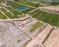 Resale - Finca -
Los Montesinos