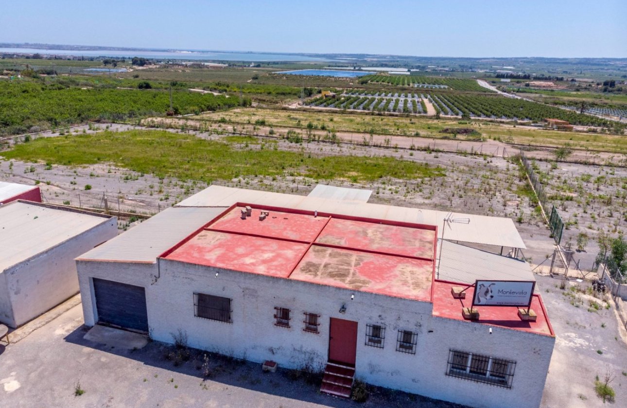 Resale - Finca -
Los Montesinos