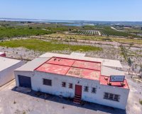 Resale - Finca -
Los Montesinos