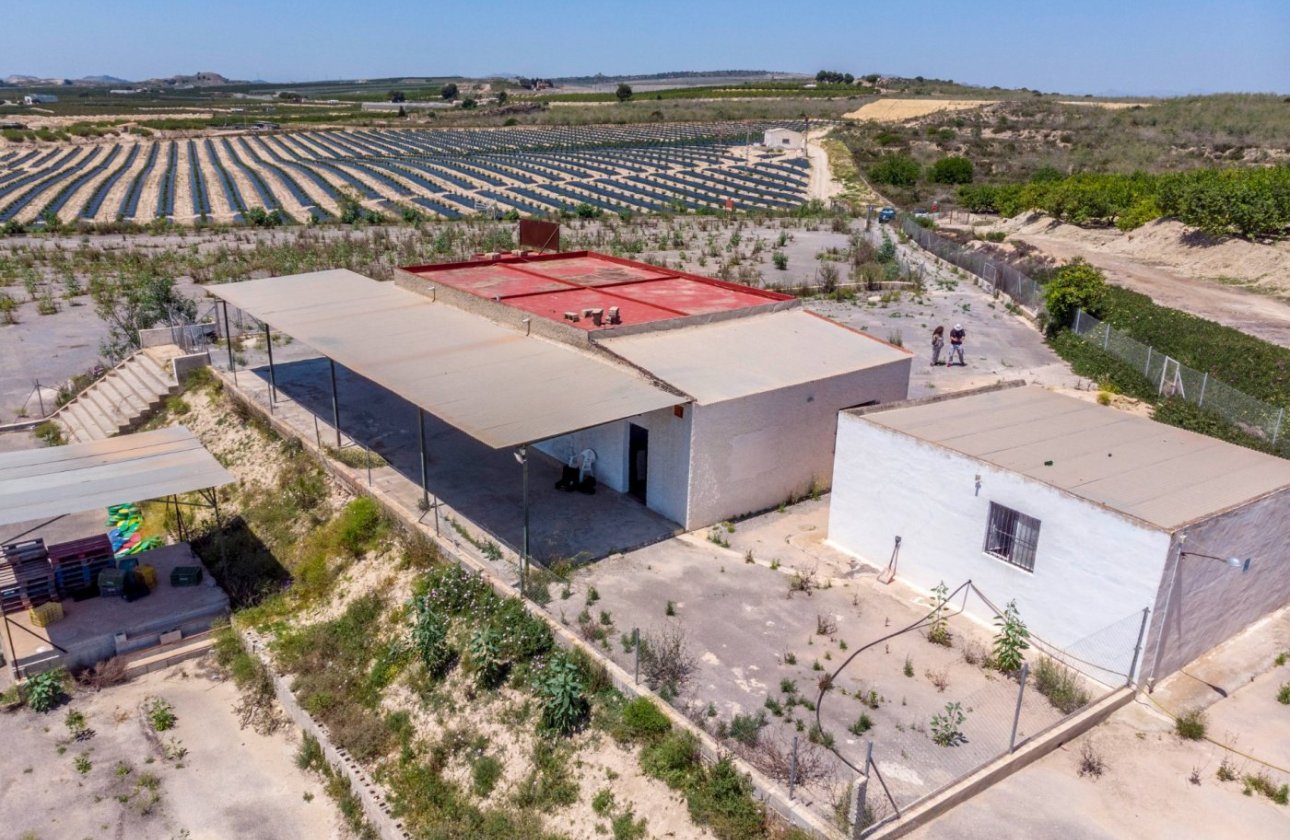 Resale - Finca -
Los Montesinos