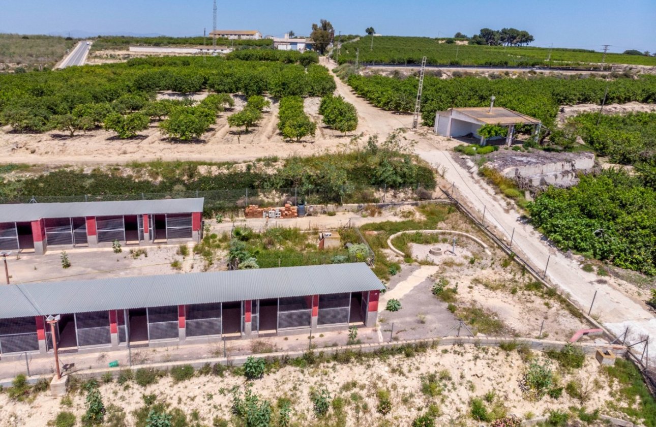 Resale - Finca -
Los Montesinos