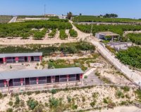 Resale - Finca -
Los Montesinos