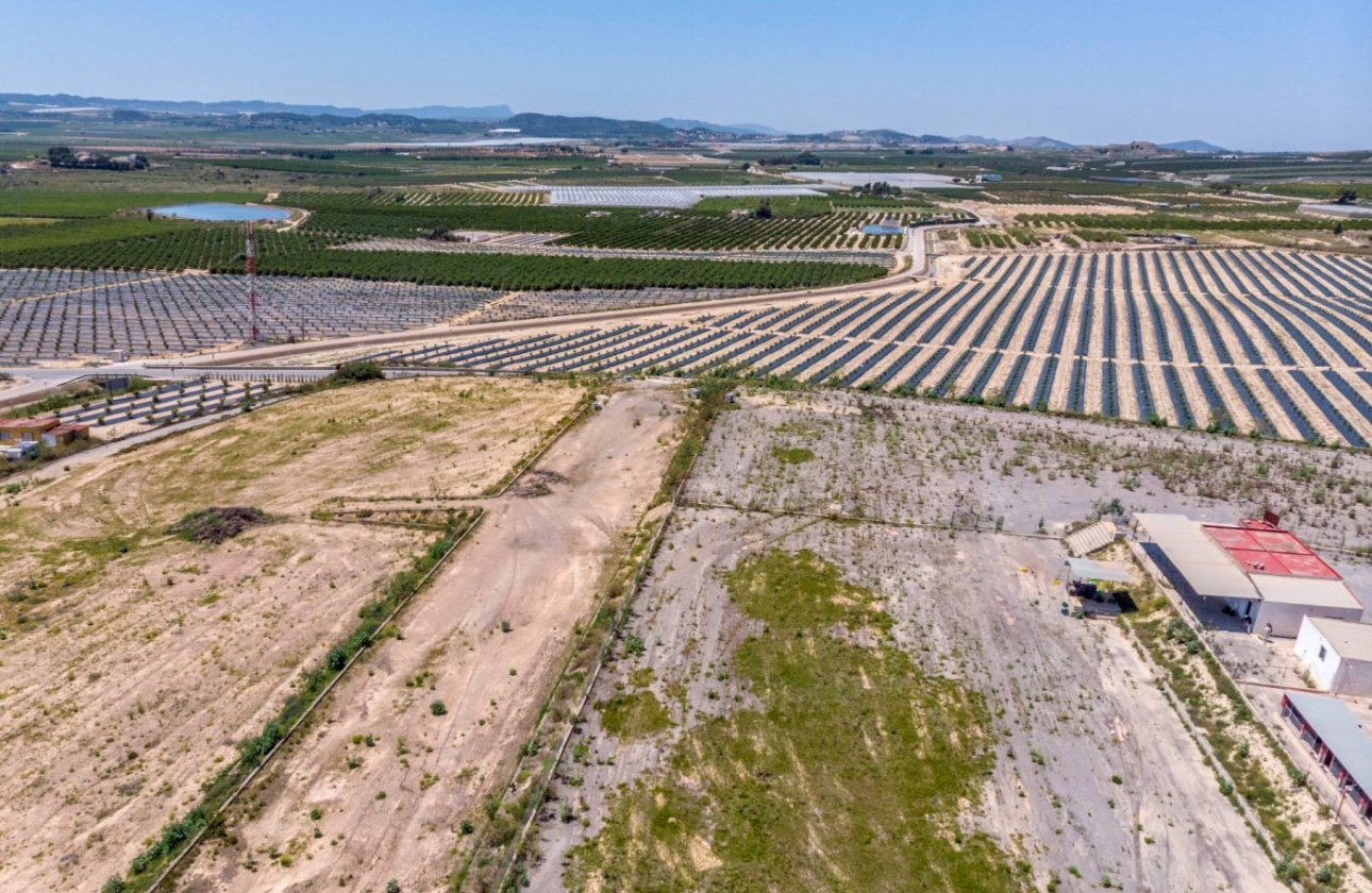 Resale - Finca -
Los Montesinos