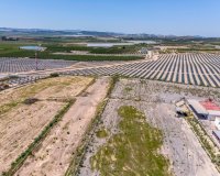 Resale - Finca -
Los Montesinos