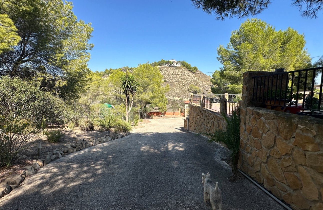 Resale - Finca -
San Miguel de Salinas - Inland