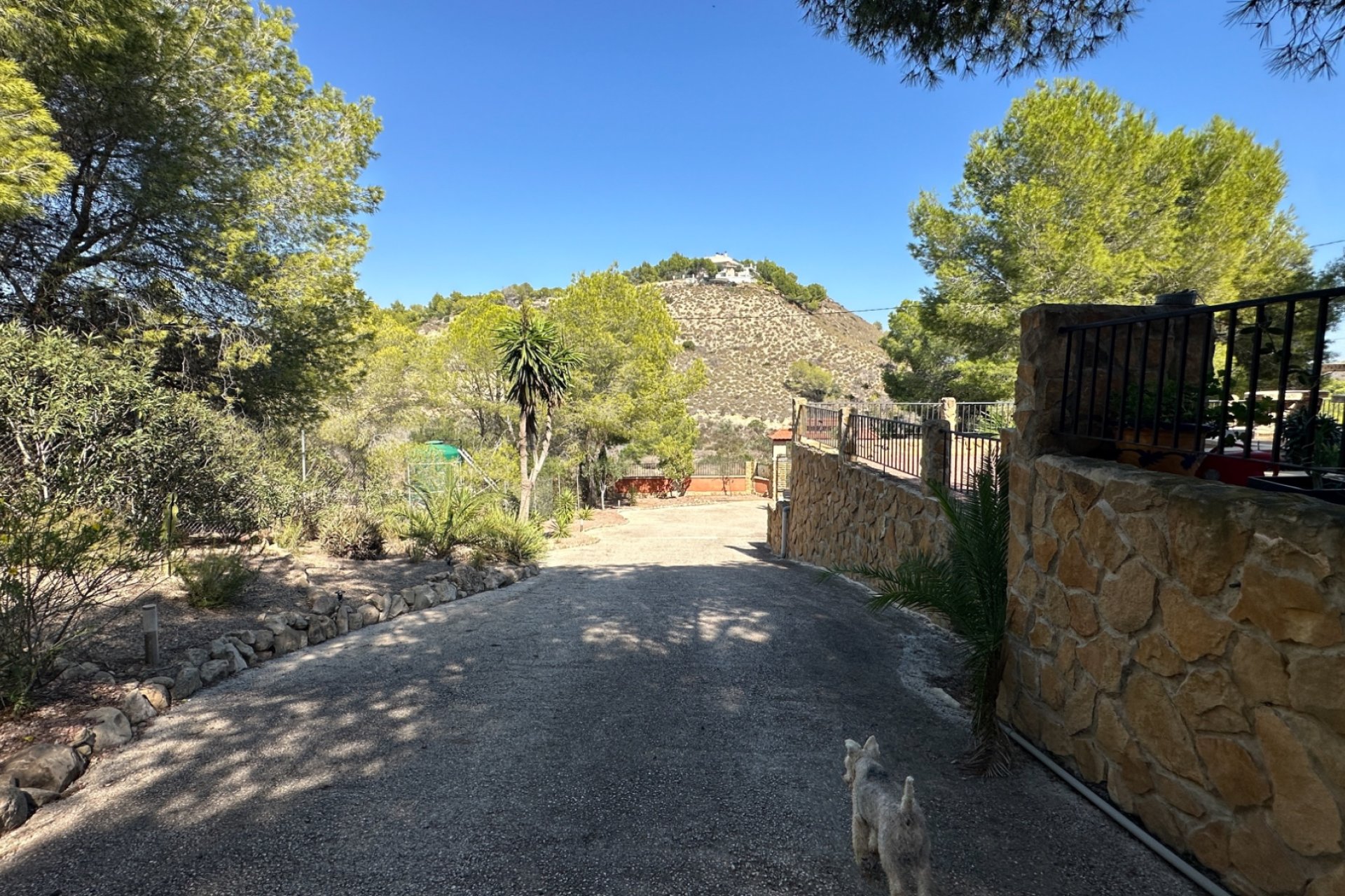 Resale - Finca -
San Miguel de Salinas - Inland