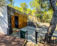 Resale - Finca -
San Miguel de Salinas - Inland