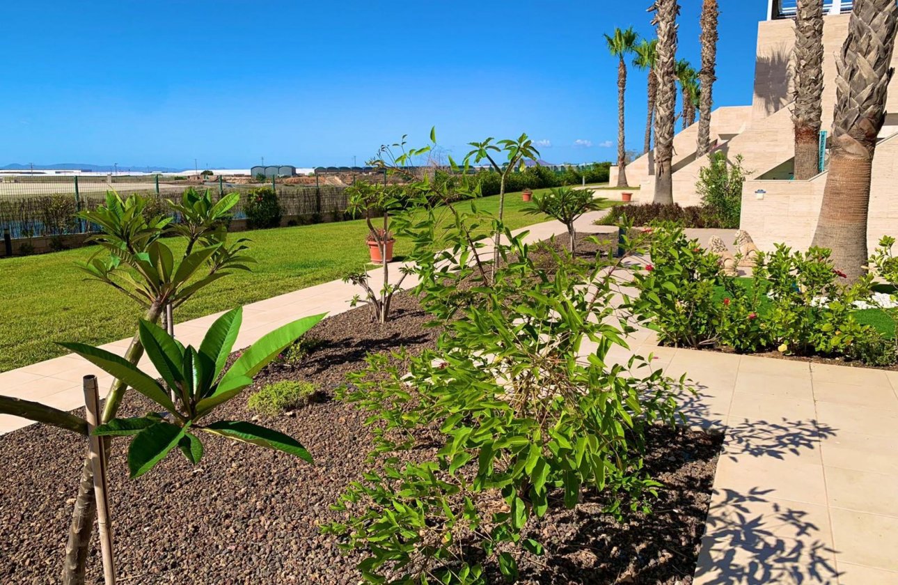 Resale - Penthouse -
Pilar de la Horadada - Costa Blanca