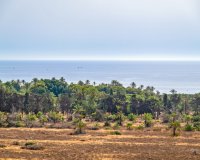 Resale - Penthouse -
Punta Prima - Costa Blanca