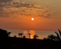 Resale - Penthouse -
San Miguel de Salinas - Inland