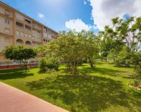Resale - Penthouse -
Torrevieja - Centro