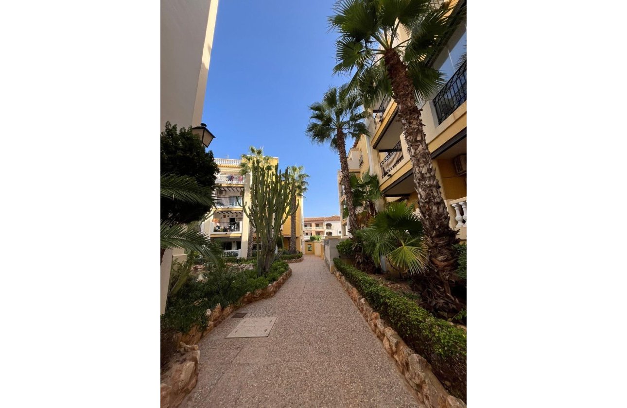 Resale - Penthouse -
Torrevieja - Los Frutales