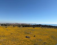 Resale - Penthouse -
Torrevieja - Punta Prima