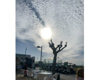 Resale - Penthouse -
Vistabella Golf Entre Naranjos - Costa Blanca