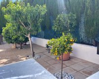 Resale - Semi Detached -
Torrevieja - Los Balcones