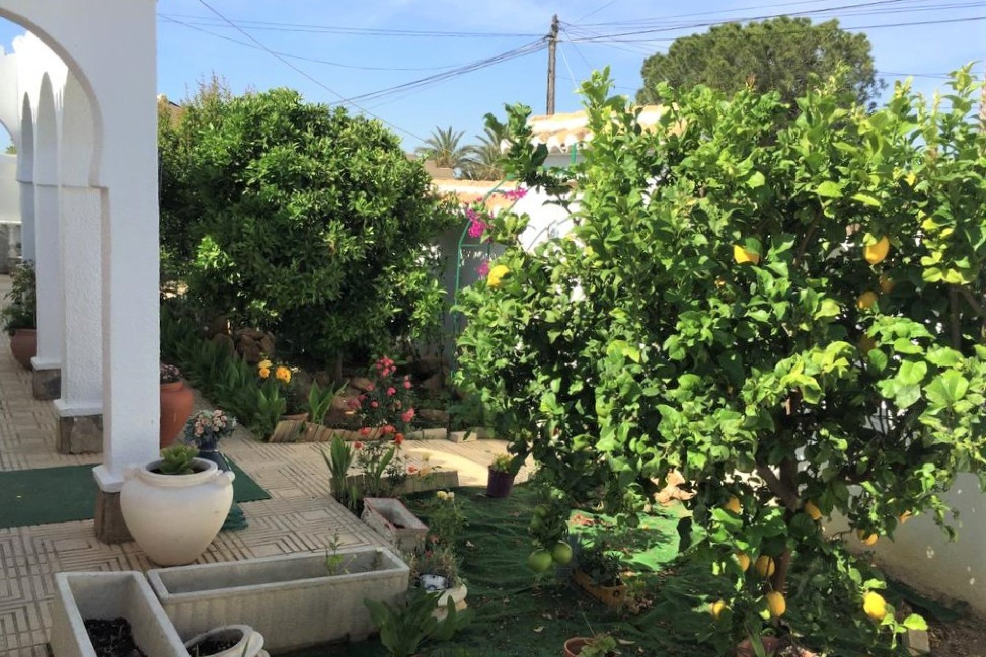 Resale - Town House -
Torrevieja - Costa Blanca