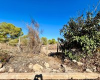 Resale - Town House -
Torrevieja - Costa Blanca