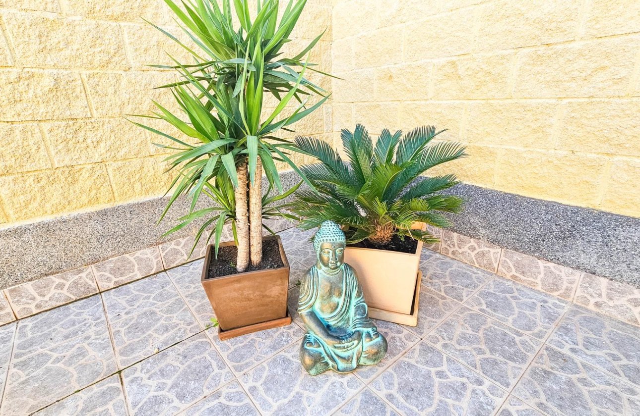 Resale - Town House -
Torrevieja - El Limonar