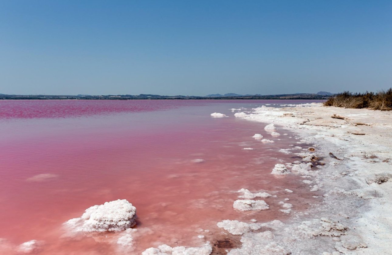 Resale - Town House -
Torrevieja - Paraje Natural