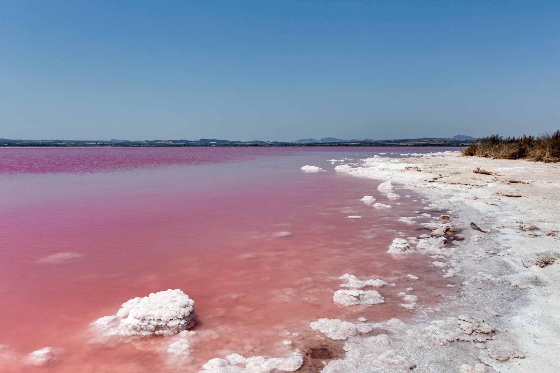 Resale - Town House -
Torrevieja - Paraje Natural