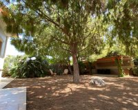 Resale - Villa -
Benijofar - Ciudad Quesada