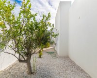Resale - Villa -
Benijofar - Costa Blanca