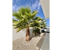 Resale - Villa -
Benijofar - Costa Blanca