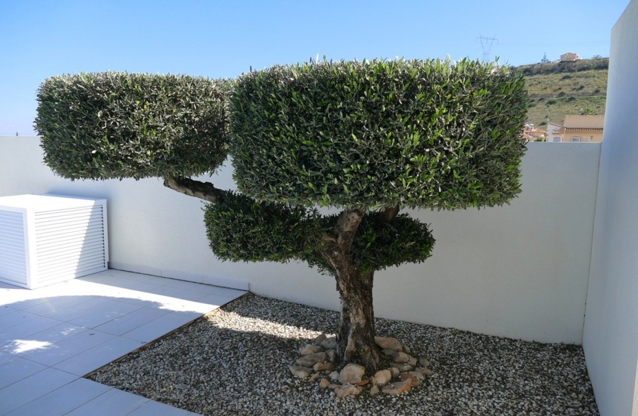 Resale - Villa -
Benijofar - Costa Blanca