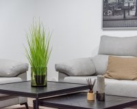 Resale - Villa -
Cabo Roig - Costa Blanca