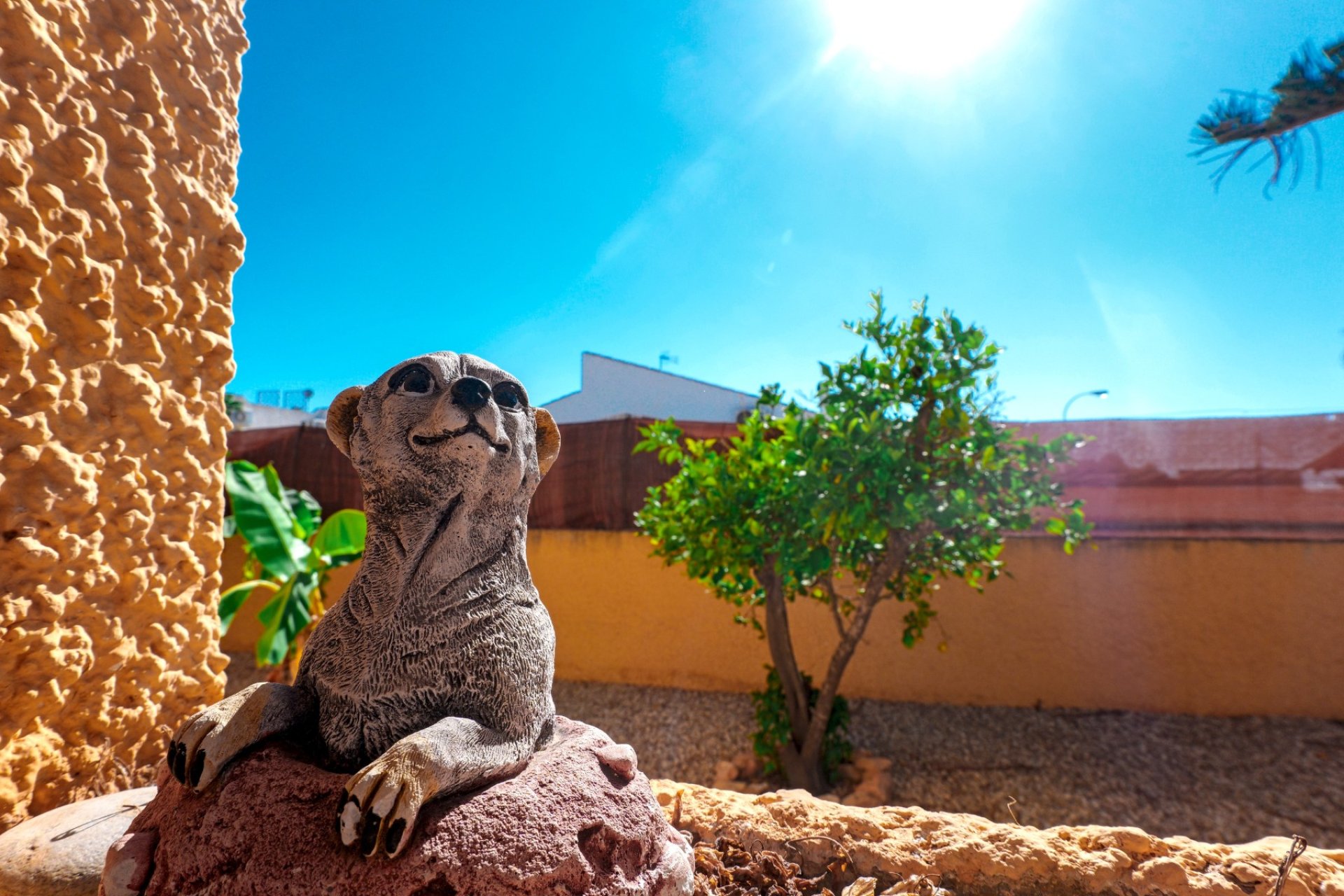 Resale - Villa -
La Siesta - Costa Blanca