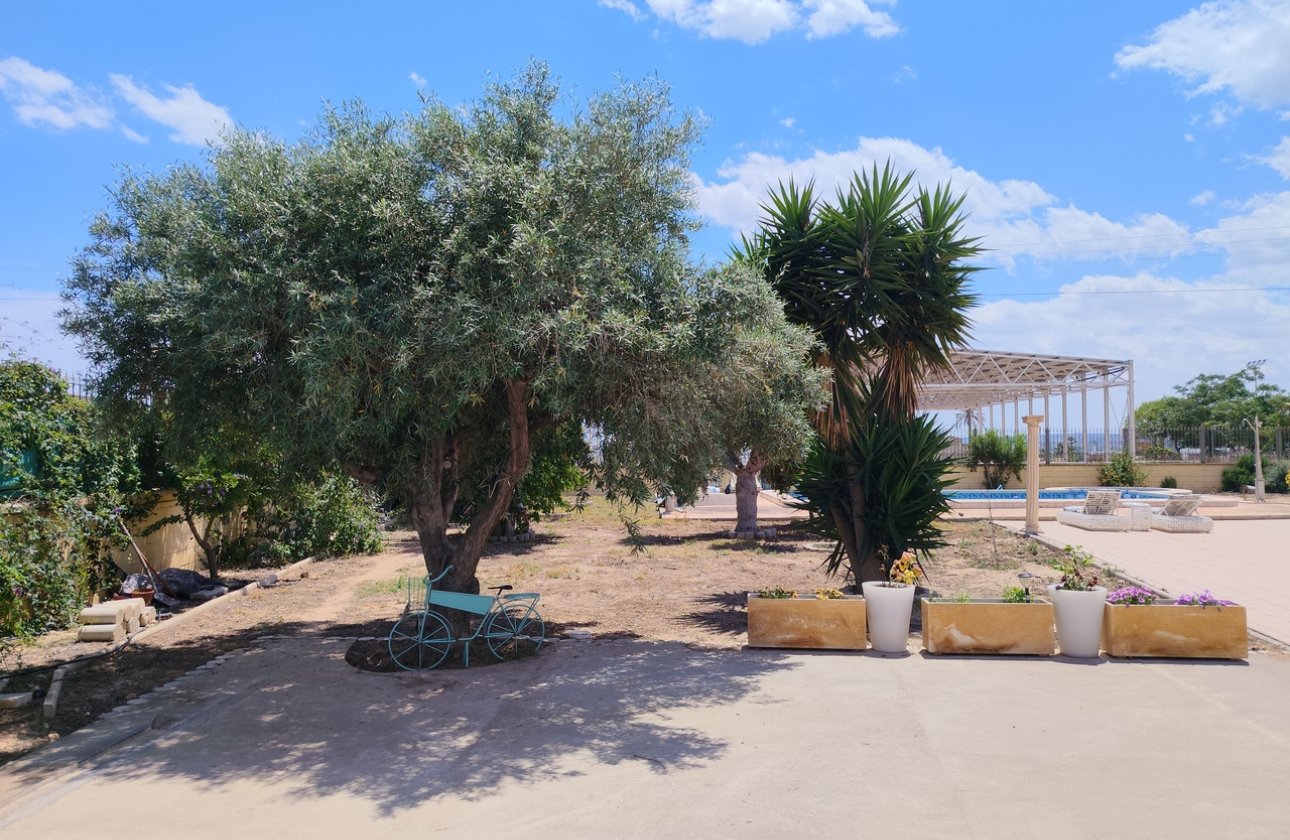 Resale - Villa -
Los Montesinos - Costa Blanca